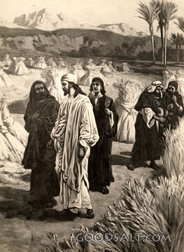 Jesus Lord of the Sabbath