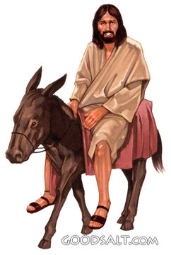 Jesus on Young Donkey