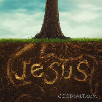 Jesus Roots