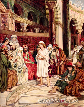 Jesus Seeks Instruction from the Doctors of the Law