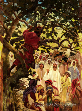 Jesus Summons Zaccheus