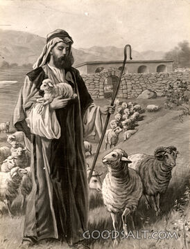 Jesus the Good Shepherd