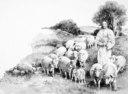 Jesus the Good Shepherd