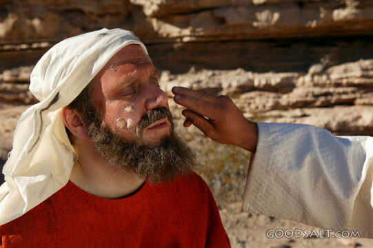 Jesus Touches a Leper