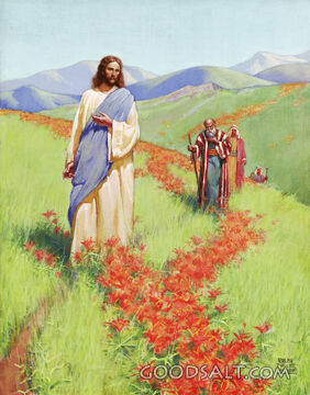 Jesus Walking in Fields