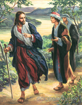 John and Andrew Following Jesus