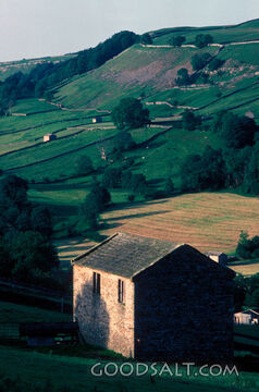 Lush green countryside.
