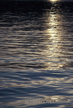 water surface reflections 