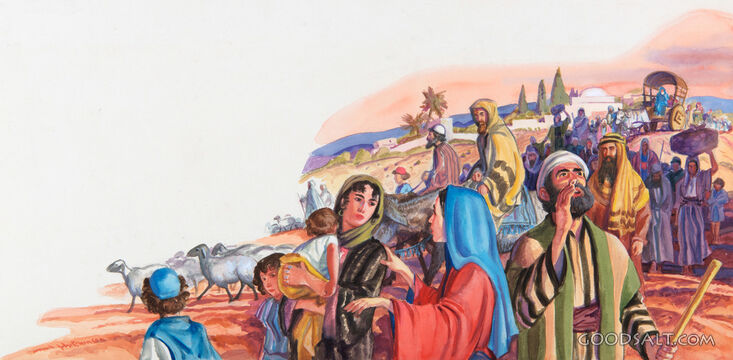 Joseph and Mary Search