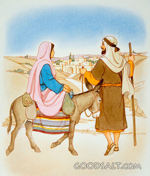 Journey to Bethlehem