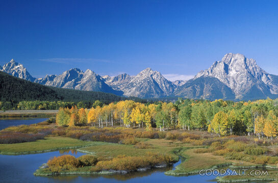 Landscape With River, Trees, and Mountians