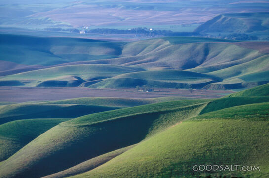 Landscape With Rolling Hills