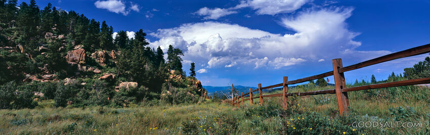 Landscape With Tree Covered Hill and Fence