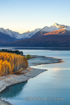 Larch tree inhabited bay sits ahead of a dominant mountain.