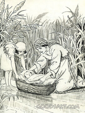 Leaving Moses in the River