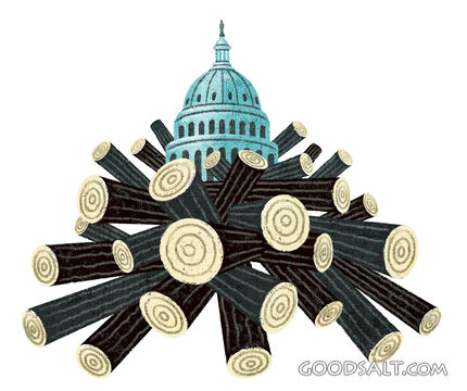 Light a Fire under Washington