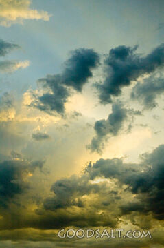 Light Puffy Clouds in the Sky