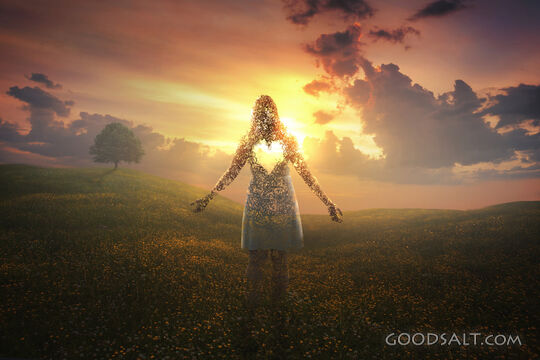 Light Shines Through