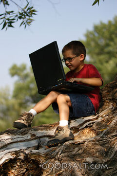Little boy with laptop computer in tree in summer.