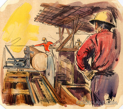 Logging Sequence - Log at Mill