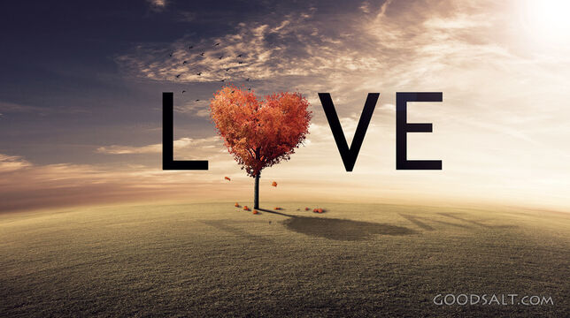 Love With a Heart Tree