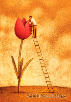 Man on Ladder Looking Into Tulip