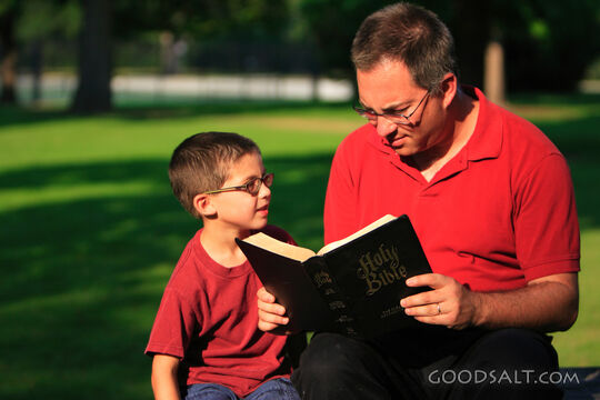 Man reading Bible to little boy in park in summer.