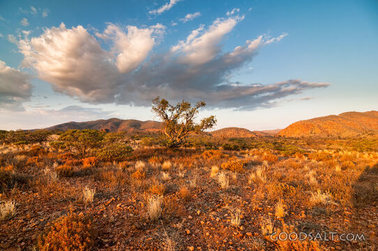 mdaps2028