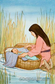 Miriam Cares for Moses