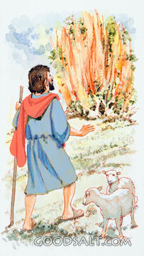 Moses and the Burning Bush