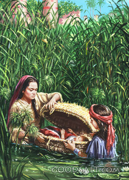 Moses in the Bulrushes