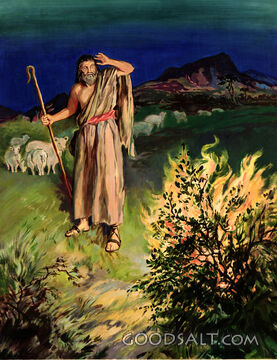 Moses Sees A Fiery Bush