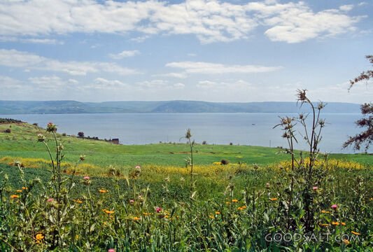 Mount of Beatitudes and Sea of Galilee