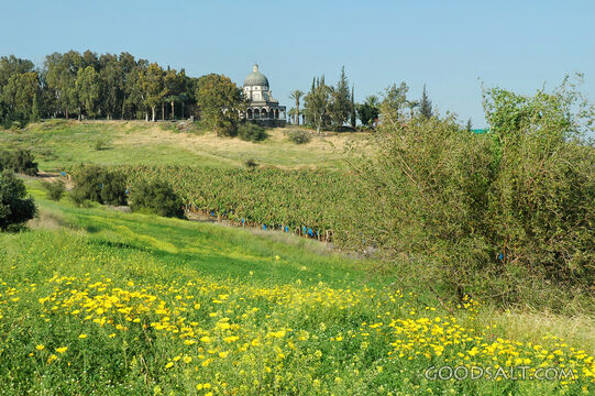 Mount of Beatitudes Hillside