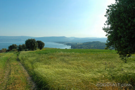 Mount of Beatitudes Hillside and Sea of Galilee