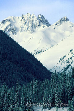 Mountains With Trees and Snow