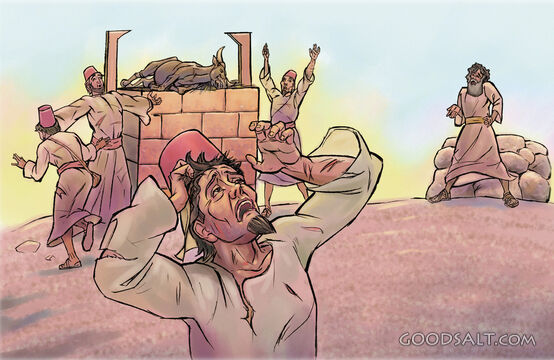 Mt. Carmel - the False Priests