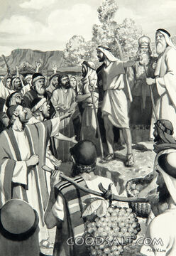 News From the Spies Sent Into Canaan