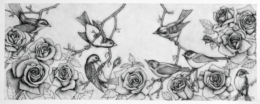 Of Birds and Roses