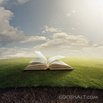 Open Bible on Grass