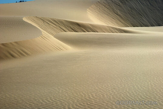 Oregon Sand Dunes, Bit of Sky
