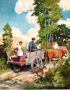 Oxcart Ambulance in Mexico