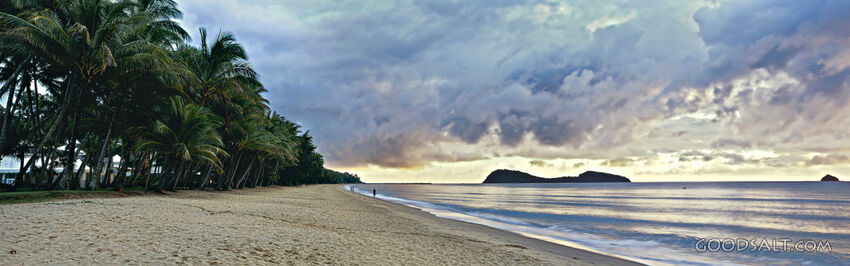 Palm Trees, Beach, and Sky