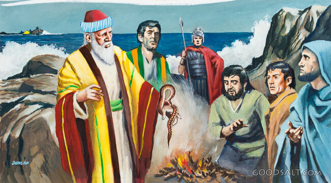 Paul, Malta, and the Viper