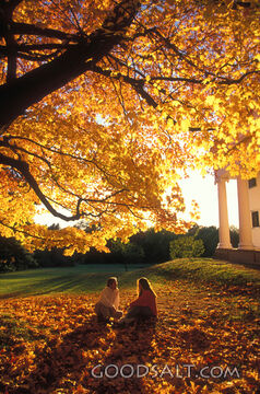 Two people sitting near a church and a large tree.
