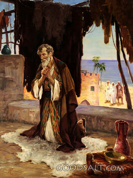 Peter on the House Tops