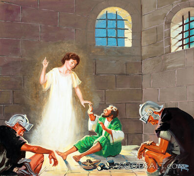 Peter's Miraculous Prison Release
