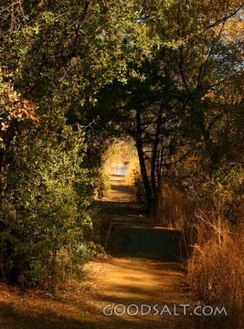 Prayer Grotto, Perfect Place for Meditation
