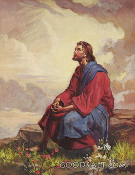 Praying on the Mountain