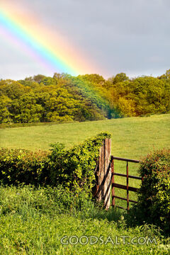 Rainbow over Gate